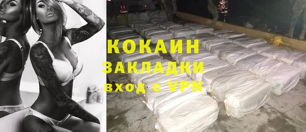 тгк Алексин