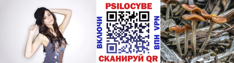 Галлюциногенные грибы Psilocybine cubensis  сколько стоит  Покров 